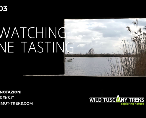 birdwatching and wine tasting