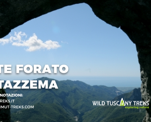 Monte Forato da Stazzema