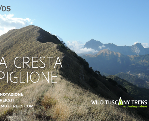 sulla cresta del Piglione