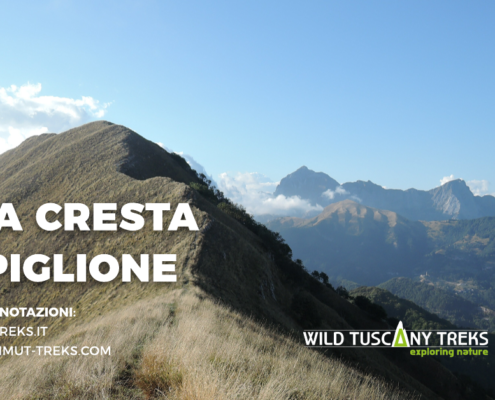 Sulla cresta del Piglione