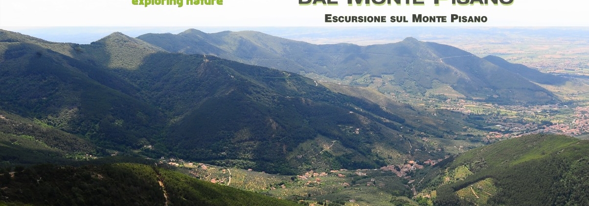 panorama al tramonto sul monte pisano