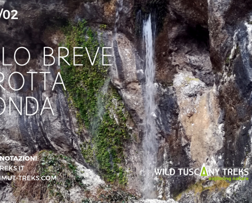 anello breve grotta all'onda