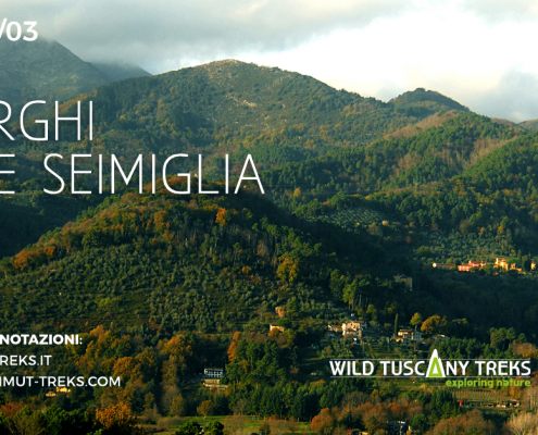 i borghi delle seimiglia