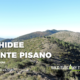 Le orchidee del Monte Pisano