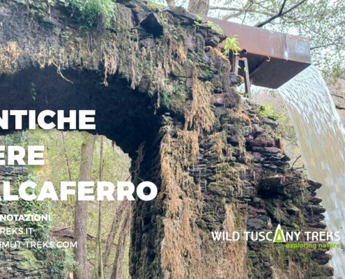 Le antiche miniere di Calcaferro