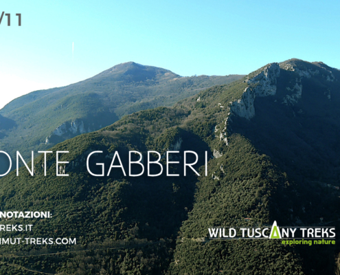 il monte gabberi