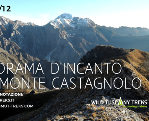 Monte Castagnolo