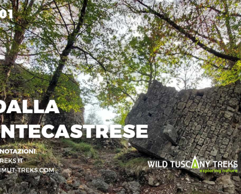 candalla e montecastrese